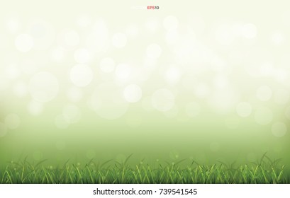 Green grass field with light blurred bokeh for background. Vector illustration.