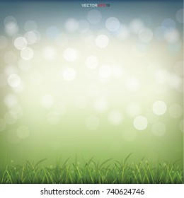 Green grass field and light blurred bokeh background. Vector illustration.