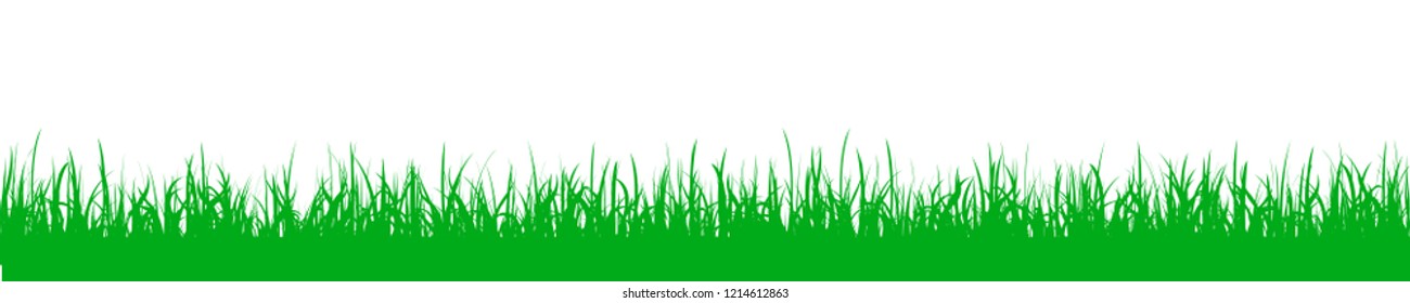 Green grass, field, nature background - stock vector