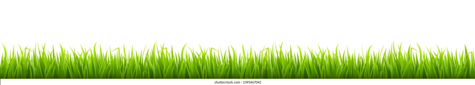 Green grass, field, nature eco background - for stock