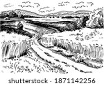 Green grass field on small hills. Meadow, alkali, lye, grassland, pommel, lea, pasturage, farm. Rural scenery landscape panorama of countryside pastures. Vector sketch illustration
