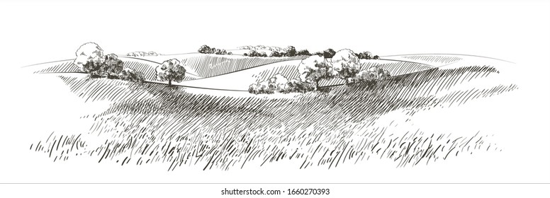 Green grass field on small hills. Meadow, alkali, lye, grassland, pommel, lea, pasturage,  farm. Rural scenery landscape panorama of countryside pastures. Vector sketch illustration - Shutterstock ID 1660270393