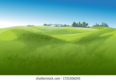 Green grass field on small hills with 
blue sky. Meadow, alkali, lye, grassland, pommel, lea, pasturage, farm. Rural scenery landscape panorama of countryside pastures. Vector watercolor realistic