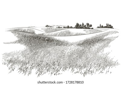 Green Grass Field On Small Hills. Meadow, Alkali, Lye, Grassland, Pommel, Lea, Pasturage, Farm. Rural Scenery Landscape Panorama Of Countryside Pastures. Vector Sketch Illustration