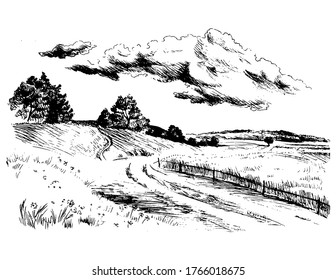 Green grass field on small hills. Meadow, alkali, lye, grassland, pommel, lea, pasturage, farm. Rural scenery landscape panorama of countryside pastures. Vector sketch illustration