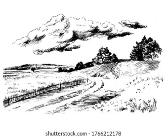 Green grass field on small hills. Meadow, alkali, lye, grassland, pommel, lea, pasturage, farm. Rural scenery landscape panorama of countryside pastures. Vector sketch illustration