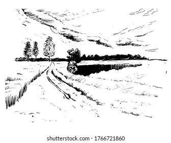 Green grass field on small hills. Meadow, alkali, lye, grassland, pommel, lea, pasturage, farm. Rural scenery landscape panorama of countryside pastures. Vector sketch illustration