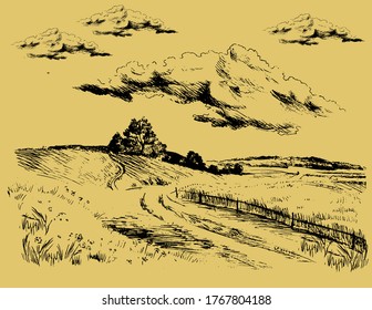 Green grass field on small hills. Meadow, alkali, lye, grassland, pommel, lea, pasturage, farm. Rural scenery landscape panorama of countryside pastures. Vector sketch illustration
