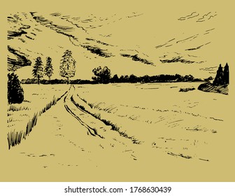 Green grass field on small hills. Meadow, alkali, lye, grassland, pommel, lea, pasturage, farm. Rural scenery landscape panorama of countryside pastures. Vector sketch illustration