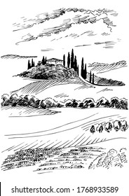 Green grass field on small hills. Meadow, alkali, lye, grassland, pommel, lea, pasturage, farm. Rural scenery landscape panorama of countryside pastures. Vector sketch illustration