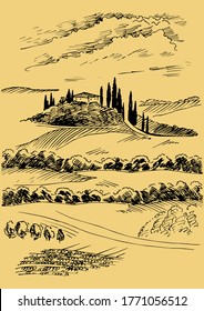 Campo de hierba verde en pequeñas colinas. pradera, álcali, lejía, prados, pomelo, pulga, pasto, granja. Paisajes rurales con vistas panorámicas de paisajes rurales. Ilustración de esbozo de vector
