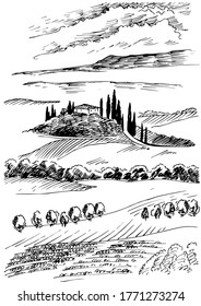 Campo de hierba verde en pequeñas colinas. pradera, álcali, lejía, prados, pomelo, pulga, pasto, granja. Paisajes rurales con vistas panorámicas de paisajes rurales. Ilustración de esbozo de vector