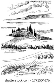 Green grass field on small hills. Meadow, alkali, lye, grassland, pommel, lea, pasturage, farm. Rural scenery landscape panorama of countryside pastures. Vector sketch illustration