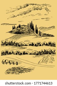 Green grass field on small hills. Meadow, alkali, lye, grassland, pommel, lea, pasturage, farm. Rural scenery landscape panorama of countryside pastures. Vector sketch illustration
