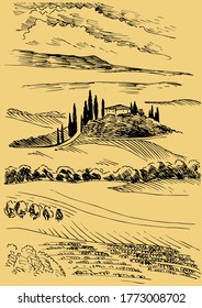 Grünes Grasfeld auf kleinen Hügeln. Weide, Alkali, Lye, Grasland, Pommel, Lea, Weide, Bauernhof. Landschaftliches Panorama auf die Landschaft der Weiden. Vektorgrafik