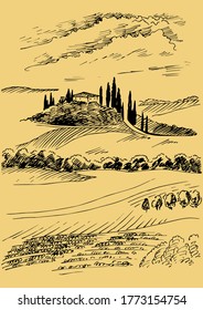 Campo de hierba verde en pequeñas colinas. pradera, álcali, lejía, prados, pomelo, pulga, pasto, granja. Paisajes rurales con vistas panorámicas de paisajes rurales. Ilustración de esbozo de vector
