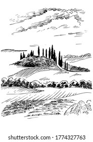 Green grass field on small hills. Meadow, alkali, lye, grassland, pommel, lea, pasturage, farm. Rural scenery landscape panorama of countryside pastures. Vector sketch illustration
