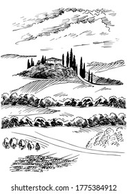 Green grass field on small hills. Meadow, alkali, lye, grassland, pommel, lea, pasturage, farm. Rural scenery landscape panorama of countryside pastures. Vector sketch illustration