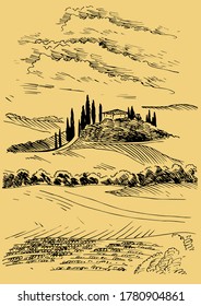Green grass field on small hills. Meadow, alkali, lye, grassland, pommel, lea, pasturage, farm. Rural scenery landscape panorama of countryside pastures. Vector sketch illustration