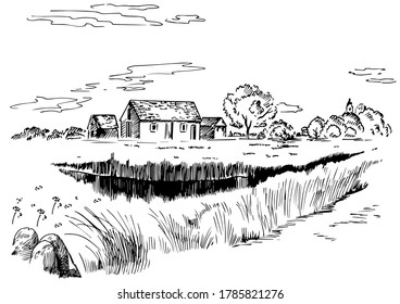 Green grass field on small hills. Meadow, alkali, lye, grassland, pommel, lea, pasturage, farm. Rural scenery landscape panorama of countryside pastures. Vector sketch illustration