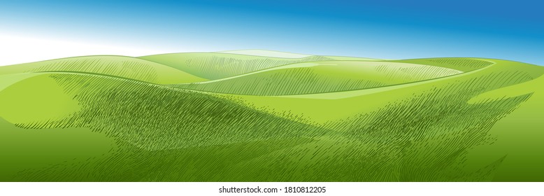 Green grass field on small hills with blue sky. Meadow, alkali, lye, grassland, pommel, lea, pasturage, farm. Rural scenery landscape panorama of countryside pastures. Vector watercolor realistic