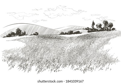 Green grass field on small hills. Meadow, alkali, lye, grassland, pommel, lea, pasturage, farm. Rural scenery landscape panorama of countryside pastures. Vector sketch illustration