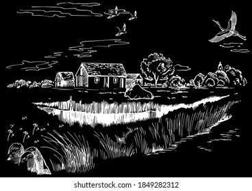 Green grass field on small hills. Meadow, alkali, lye, grassland, pommel, lea, pasturage, farm. Rural scenery landscape panorama of countryside pastures. Vector sketch illustration