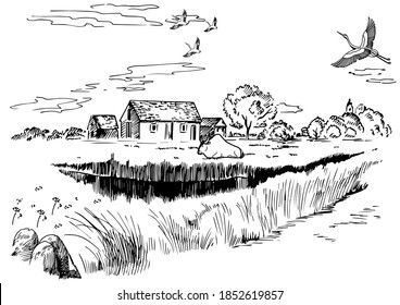 Campo de hierba verde en pequeñas colinas. pradera, álcali, lejía, prados, pomelo, pulga, pasto, granja. Paisajes rurales con vistas panorámicas de paisajes rurales. Ilustración de esbozo de vector