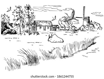 Green grass field on small hills. Meadow, alkali, lye, grassland, pommel, lea, pasturage, farm. Rural scenery landscape panorama of countryside pastures. Vector sketch illustration