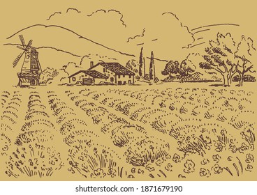 Green grass field on small hills. Meadow, alkali, lye, grassland, pommel, lea, pasturage, farm. Rural scenery landscape panorama of countryside pastures. Vector sketch illustration