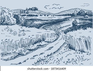 Green grass field on small hills. Meadow, alkali, lye, grassland, pommel, lea, pasturage, farm. Rural scenery landscape panorama of countryside pastures. Vector sketch illustration