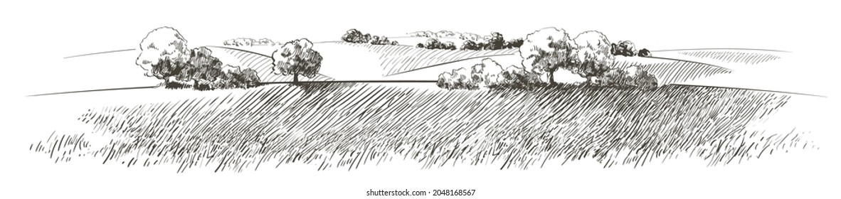 Green grass field on small hills. Meadow, alkali, lye, grassland, pommel, lea, pasturage,  farm. Rural scenery landscape panorama of countryside pastures. Vector sketch illustration