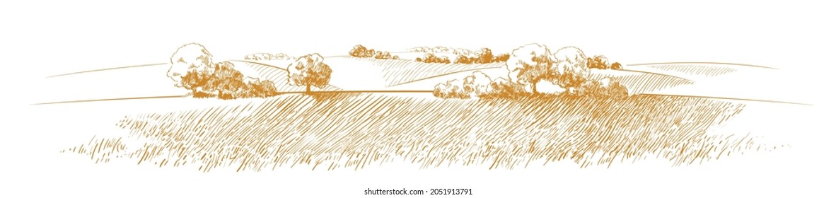 Grünes Grasfeld auf kleinen Hügeln. Weide, Alkali, Lye, Grasland, Pommel, Lea, Weide, Bauernhof. Landschaftliches Panorama auf die Landschaft der Weiden. Vektorgrafik