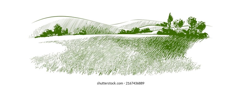 Campo de hierba verde en pequeñas colinas. pradera, álcali, lejía, prados, pomelo, pulga, pasto, granja. Paisajes rurales con vistas panorámicas de paisajes rurales. Ilustración de esbozo de vector