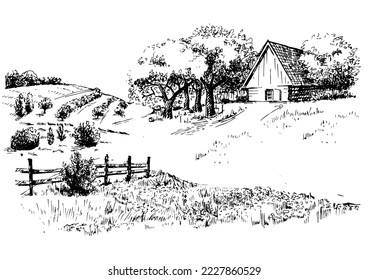 Green grass field on small hills. Meadow, alkali, lye, grassland, pommel, lea, pasturage, farm. Rural scenery landscape panorama of countryside pastures. Vector sketch illustration
