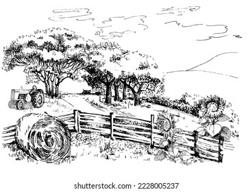 Green grass field on small hills. Meadow, alkali, lye, grassland, pommel, lea, pasturage, farm. Rural scenery landscape panorama of countryside pastures. Vector sketch illustration
