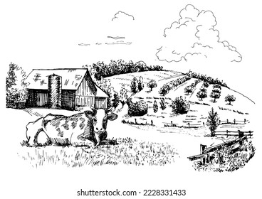 Green grass field on small hills. Meadow, alkali, lye, grassland, pommel, lea, pasturage, farm. Rural scenery landscape panorama of countryside pastures. Vector sketch illustration

