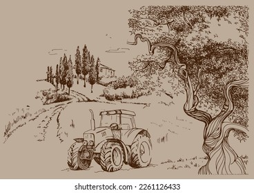 Green grass field on small hills. Meadow, alkali, lye, grassland, pommel, lea, pasturage, farm. Rural scenery landscape panorama of countryside pastures. Vector sketch illustration
