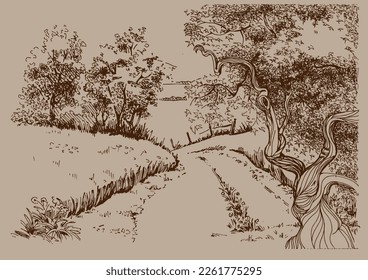Grünes Grasfeld auf kleinen Hügeln. Weide, Alkali, Lye, Grasland, Pommel, Lea, Weide, Bauernhof. Landschaftliches Panorama auf die Landschaft der Weiden. Vektorgrafik
