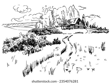 Green grass field on small hills. Meadow, alkali, lye, grassland, pommel, lea, pasturage, farm. Rural scenery landscape panorama of countryside pastures. Vector sketch illustration
