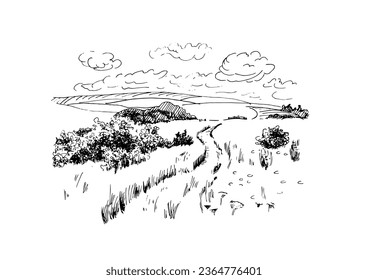 Green grass field on small hills. Rural scenery landscape panorama of countryside pastures. Vector sketch illustration

