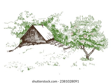 Green grass field on small hills. Meadow, alkali, lye, grassland, pommel, lea, pasturage, farm. Rural scenery landscape panorama of countryside pastures. Vector sketch illustration
