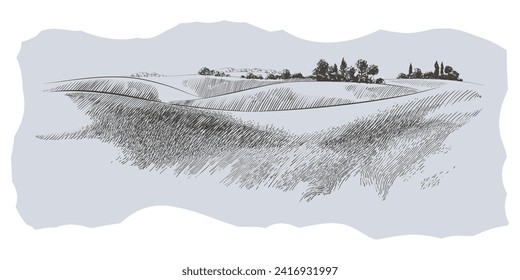 Green grass field on small hills. Meadow, alkali, lye, grassland, pommel, lea, pasturage, farm. Rural scenery landscape panorama of countryside pastures. Vector sketch illustration