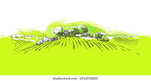 Green grass field on small hills. Meadow, alkali, lye, grassland, pommel, lea, pasturage, farm. Rural scenery landscape panorama of countryside pastures. Vector sketch illustration