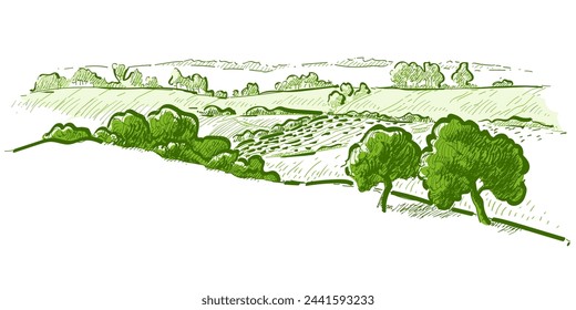 Green grass field on small hills. Meadow, alkali, lye, grassland, pommel, lea, pasturage, farm. Rural scenery landscape panorama of countryside pastures. Vector sketch illustration