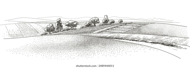 Green grass field on small hills. Meadow, alkali, lye, grassland, pommel, lea, pasturage, farm. Rural scenery landscape panorama of countryside pastures. Vector sketch line illustration