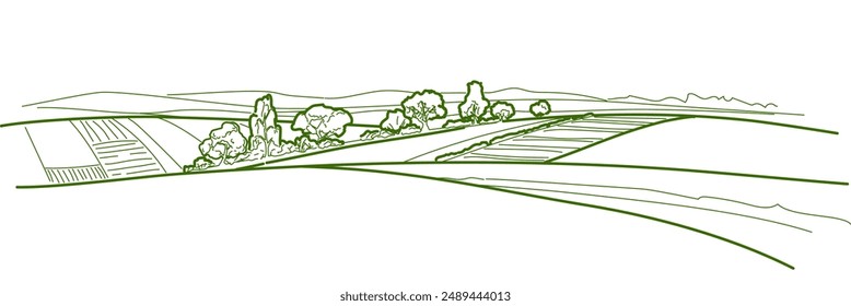 Green grass field on small hills. Meadow, alkali, lye, grassland, pommel, lea, pasturage, farm. Rural scenery landscape panorama of countryside pastures. Vector sketch line illustration