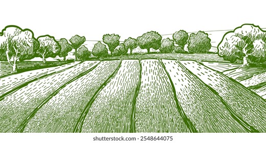 Green grass field on small hills. Meadow, alkali, lye, grassland, pommel, lea, pasturage, farm. Rural scenery landscape panorama of countryside pastures. Vector sketch illustration