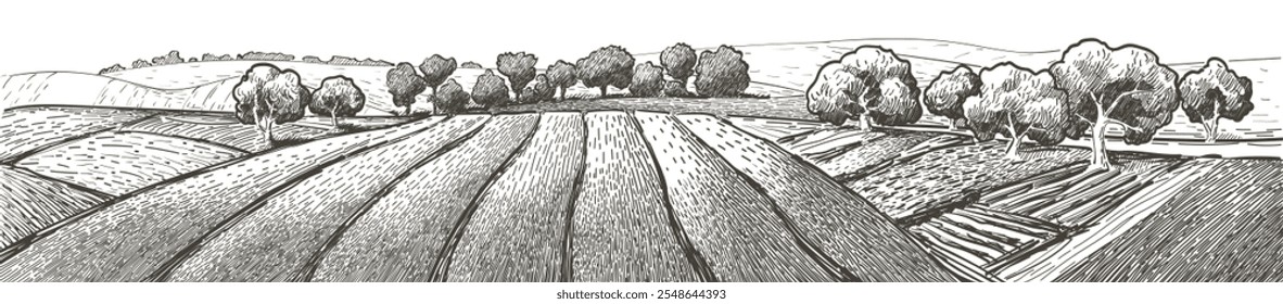 Green grass field on small hills. Meadow, alkali, lye, grassland, pommel, lea, pasturage, farm. Rural scenery landscape panorama of countryside pastures. Vector sketch illustration