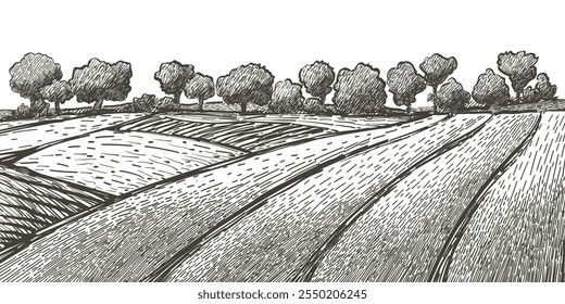 Green grass field on small hills. Meadow, alkali, lye, grassland, pommel, lea, pasturage, farm. Rural scenery landscape panorama of countryside pastures. Vector sketch illustration